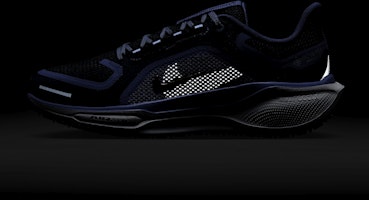 (W) ナイキ ペガサス 41 GORE-TEX 'コバルト ブリス アーモリー' FQ1357-400 2