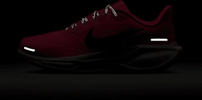 (W) Nike Pegasus 41 Lelaki/Wanita Kasut Larian HV5158-600 3