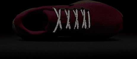 (W) Nike Pegasus 41 Lelaki/Wanita Kasut Larian HV5158-600 1