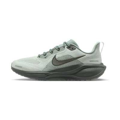 (W) Nike Pegasus 41 Maika Green/Barely Green/Maika Green/Sequoia