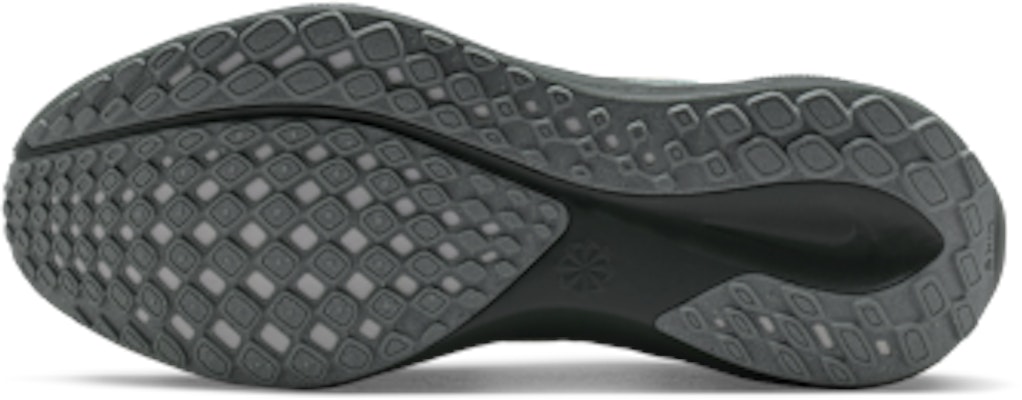 (W) 나이키 페가수스 41 마이카 그린/베얼리 그린/마이카 그린/세쿼이아 IM7780-355 Order (W) 나이키 페가수스 41 마이카 그린/베얼리 그린/마이카 그린/세쿼이아 IM7780-355