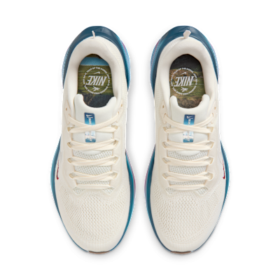 Shop (W) Nike Pegasus 41 特價/多色/深紅/幻影 IQ1153-109