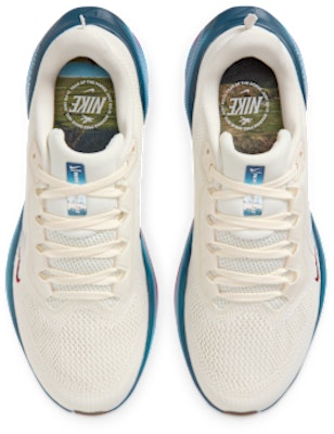 (W) Nike Pegasus 41 特價/多色/深紅/幻影 IQ1153-109 Shop (W) Nike Pegasus 41 特價/多色/深紅/幻影 IQ1153-109