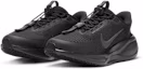Details for (W) Nike Pegasus Easy On 黑/白/深灰 FQ7844-001