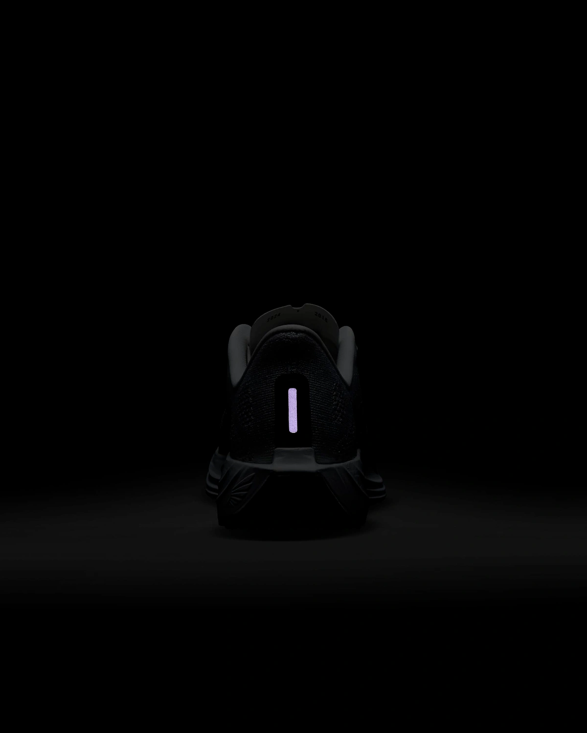 (Women) Nike Pegasus Plus 'White Platinum Violet'