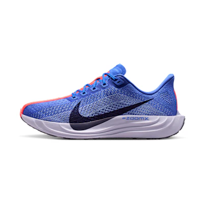 (W) Nike Pegasus Plus Sapphire/Light Thistle/Violet Mist/Purple Dynasty