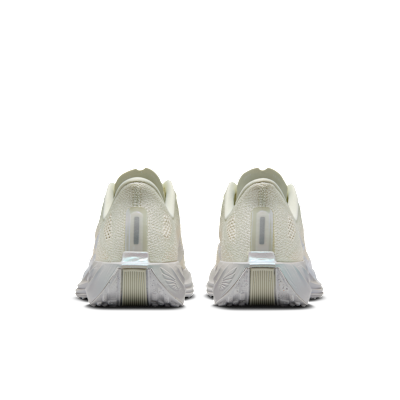 Sizing (W) Nike Pegasus Plus Sea Glass/Kapur/Platinum Tulen/Putih IO9912-001