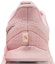 Sizing (W) Nike Pegasus Premium 'Atmosphere' Lelaki/Perempuan HQ2593-601