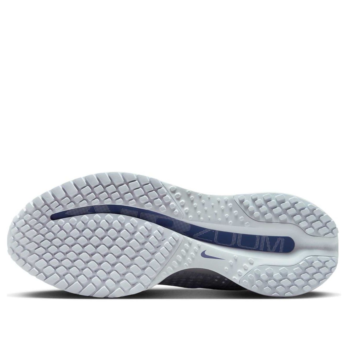 Purchase (W) Nike Pegasus Premium 'Gris Fútbol' HQ2593-006