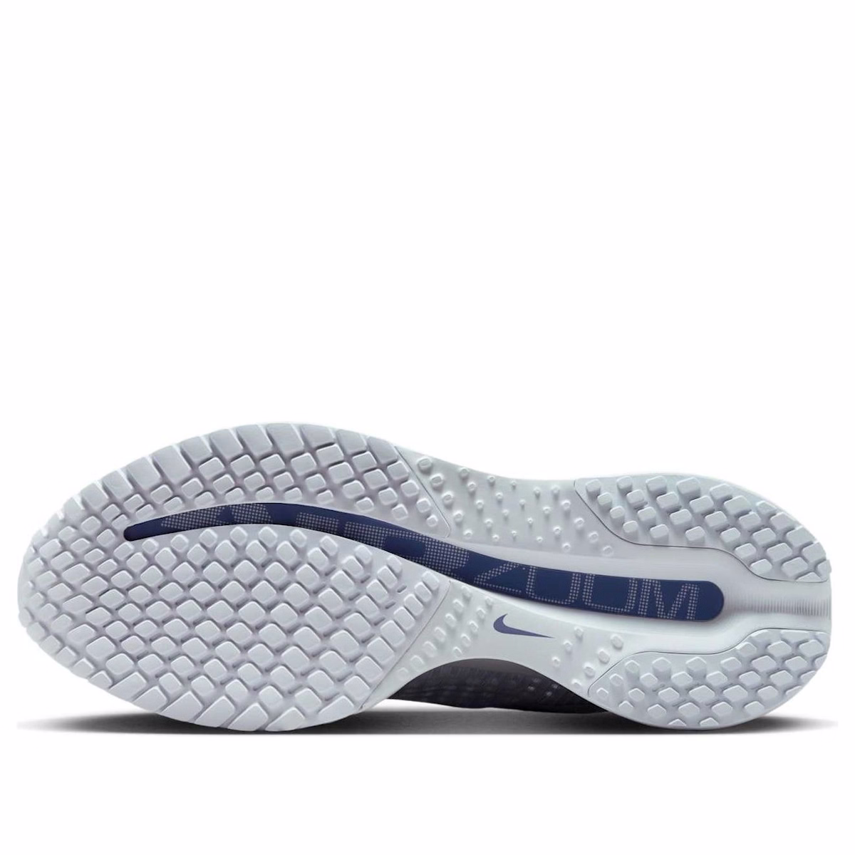 (Women) Nike Pegasus Premium 'Football Grey'