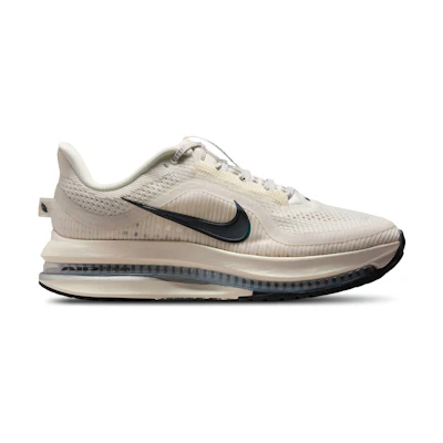 (W) Nike Pegasus PRM 'Sail Off Noir'
