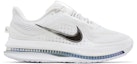 Buy (Women) Nike Pegasus Premium 'White Metallic Silver' HQ2593-102