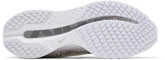 Purchase (W) Nike Pegasus Premium 'Putih Perak Metalik' HQ2593-102