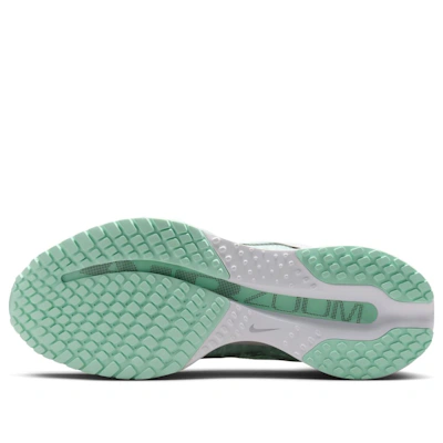 (Women) Nike Pegasus Premium 'White Mint Foam'