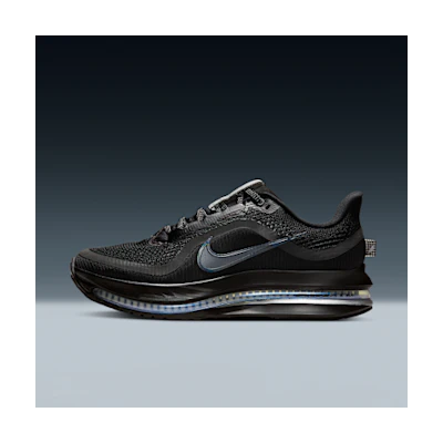 (W) Nike Pegasus PRM Black/Metallic Silver/Black