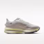 Lookbook (W) Nike Pegasus Premium Moon Particle/Life Lime/Bust Gray IQ3439-211