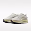Purchase (W) Nike Pegasus Premium Moon Particle/Life Lime/Bust Gray IQ3439-211