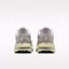 Details for (W) Nike Pegasus Premium Moon Particle/Life Lime/Bust Gray IQ3439-211