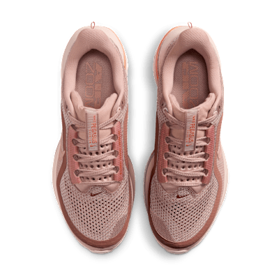 Shop (W) Nike Pegasus Premium Particle Pink/Silth Red/Perak Metalik/Rose Gold Metalik HQ2593-603