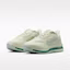 Purchase (W) Nike Pegasus Premium Sea Glass/Malachite/Light Silver/Metallic Silver HQ2593-008