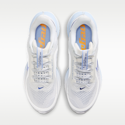 Shop (W) Nike Pegasus Premium 白鋁/日晷/神秘海軍藍 HQ2593-107
