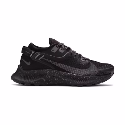 (W) Nike Pegasus Trail 2 GTX 'Black Metallic Dark Grey'