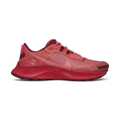 (W) Nike Pegasus Trail 3 'Gypsy Rose'