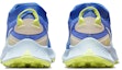 Purchase (W) Nike Pegasus Trail 3 Gore-Tex Sprite Kasut Larian Tahan Lasak. DC8794-400