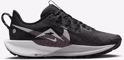 Lookbook (W) Nike Pegasus Trail 5 '黑灰狼' DV3865-001