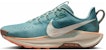 (Women) Nike Pegasus Trail 5 'Cannon' DV3865-010