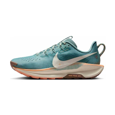 (W) Nike Pegasus Trail 5 'Cannon'