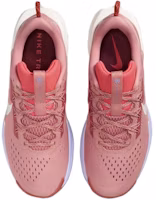 Lookbook (W) Nike Pegasus Trail 5 '紅色星塵' DV3865-601