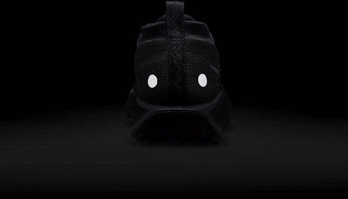 (W) 나이키 페가수스 트레일 5 고어텍스 '블랙 앤트러사이트 블랙' FQ0912-002 1