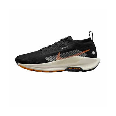 (W) Nike Pegasus Trail 5 GORE-TEX 'Black Monarch'