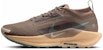(Women) Nike Pegasus Trail 5 GORE-TEX 'Mink Brown Orange Chalk' FQ0912-200