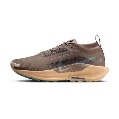 (W) Nike Pegasus Trail 5 GORE-TEX 'Mink Brown Orange Chalk'