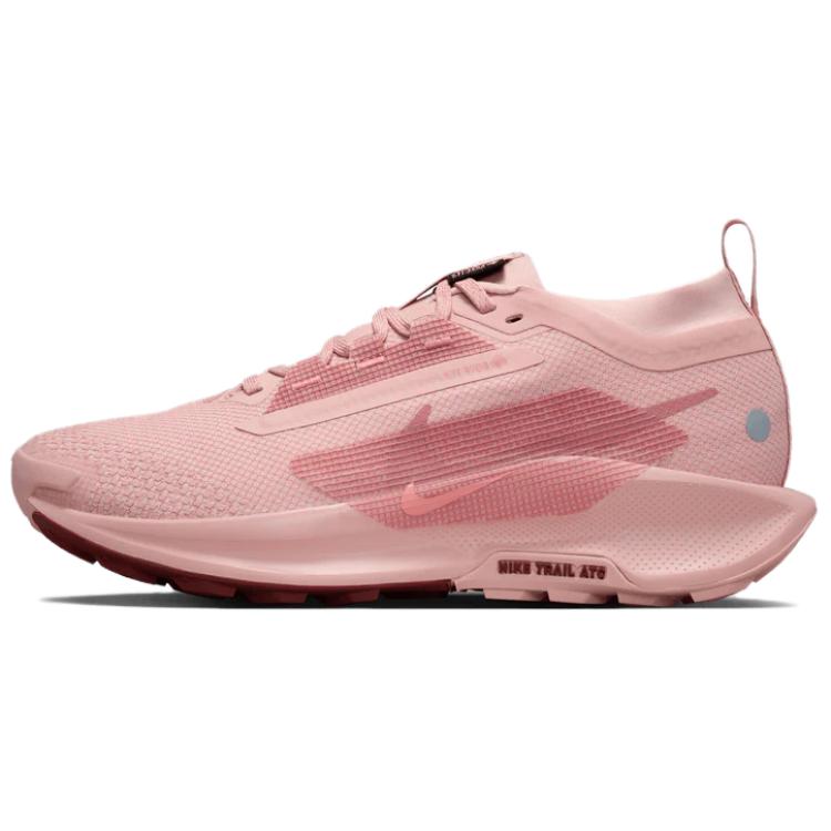 (Women) Nike Pegasus Trail 5 GORE-TEX 'Pink Oxford' FQ0912-601