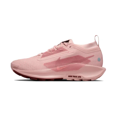 (W) Nike Pegasus Trail 5 GORE-TEX 'Pink Oxford'