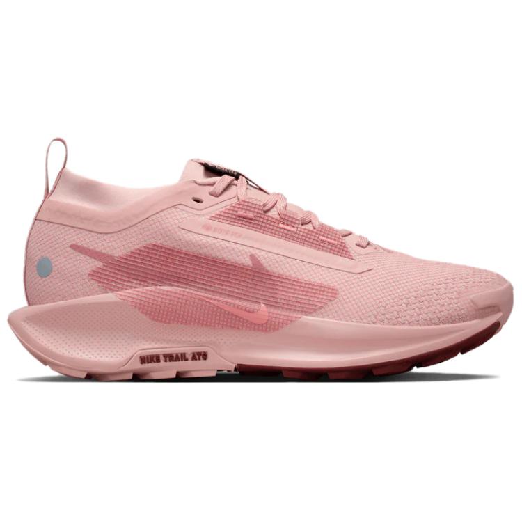 Lookbook (W) Nike Pegasus Trail 5 GORE-TEX ''Pink Oxford'' Scarpe da Trail Running. FQ0912-601