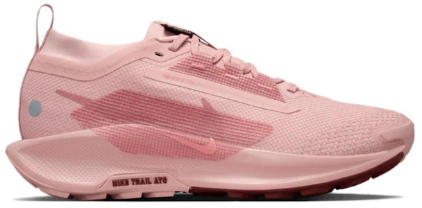 Lookbook (W) Nike Pegasus Trail 5 GORE-TEX ''Pink Oxford'' Scarpe da Trail Running. FQ0912-601