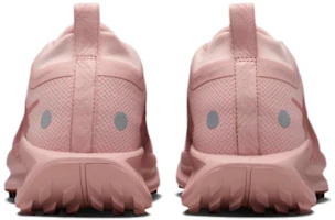 Details for (W) Nike Pegasus Trail 5 GORE-TEX ''Pink Oxford'' Scarpe da Trail Running. FQ0912-601