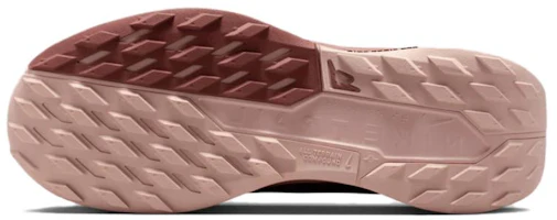 Sizing (W) Nike Pegasus Trail 5 GORE-TEX ''Pink Oxford'' Scarpe da Trail Running. FQ0912-601