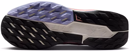 Details for (W) Nike React Pegasus Trail 5 Gore-Tex 紅星塵薰衣草冰米白火星石色款。 FQ0912-602