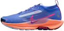 Buy (W) Nike Pegasus Trail 5 GORE-TEX ''Zaffiro'' FQ0912-503