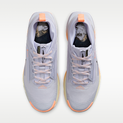 Purchase (Women) Nike Pegasus Trail 5 GORE-TEX Ghost/Malt/Orange Pulse/Black FQ0912-011