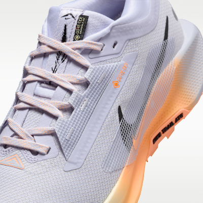 Sizing (Women) Nike Pegasus Trail 5 GORE-TEX Ghost/Malt/Orange Pulse/Black FQ0912-011