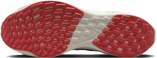 (W) 나이키 페가수스 터보 넥스트 네이처 '푸시아 드림 크림슨' DM3414-500 Purchase (W) 나이키 페가수스 터보 넥스트 네이처 '푸시아 드림 크림슨' DM3414-500