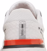 Sizing (W) Nike React Infinity Run Flyknit 3 ''Leopard'' Damen/Herren Laufschuhe DZ5215-001