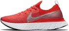 Buy (W) 耐克React Infinity Run Flyknit '智利红'跑鞋 DC2054-600