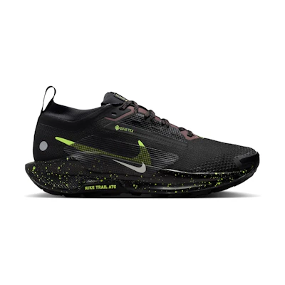 (W) Nike Pegasus Trail 5 GORE-TEX 'Black Phantom'